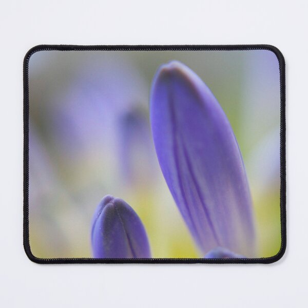 Item preview, Heart and Mind designed and sold by equilibrio.