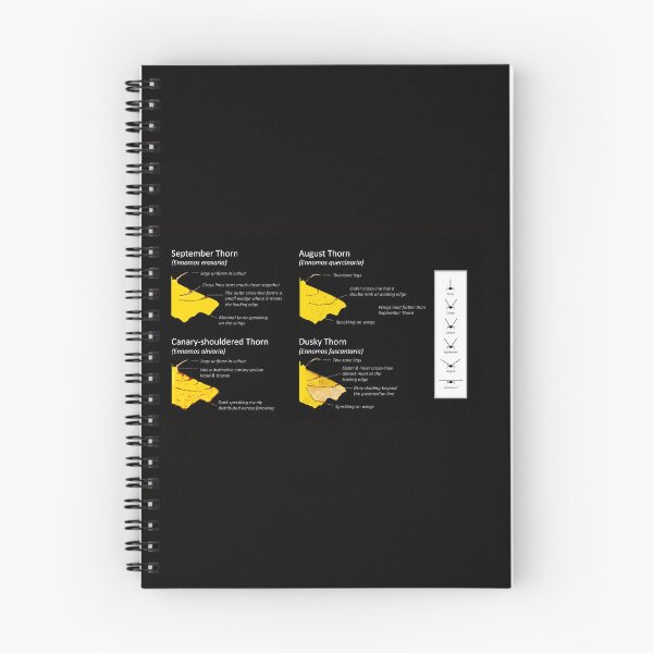 Item preview, Thorn Moth - Identification guide designed and sold by SteveEvansArt.