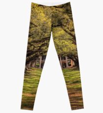 Oak Alley Leggings