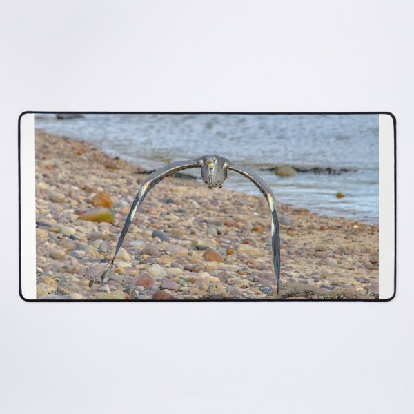 Item preview, Grey Heron In Combat Mode designed and sold by GG WALL ART.