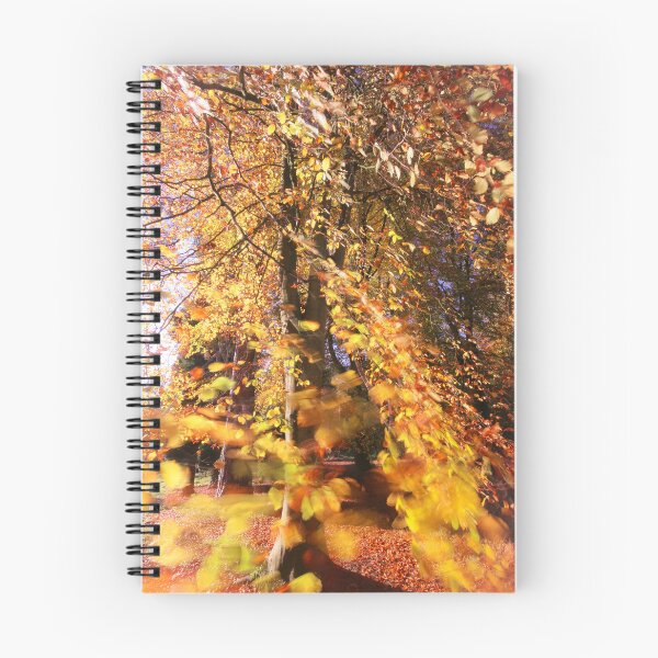 Item preview, Digital Photograph wind blown sunlit Beech leaves  designed and sold by SimonJohnson1.