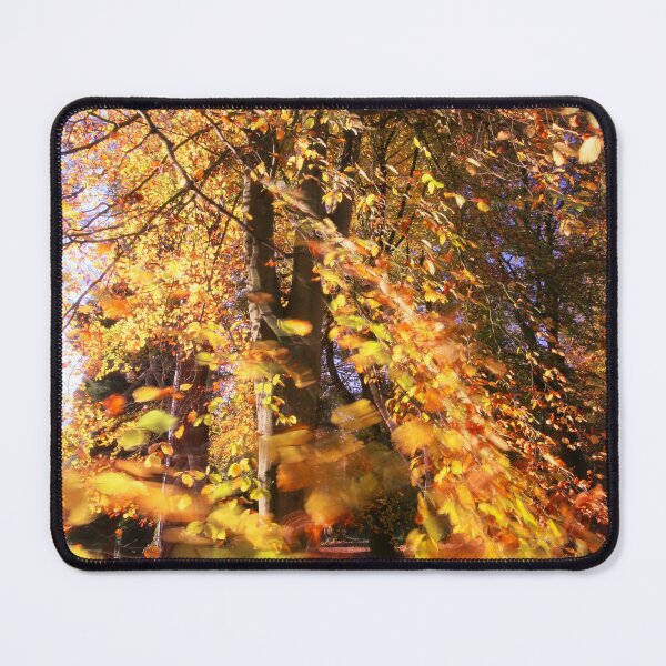 Item preview, Digital Photograph wind blown sunlit Beech leaves  designed and sold by SimonJohnson1.