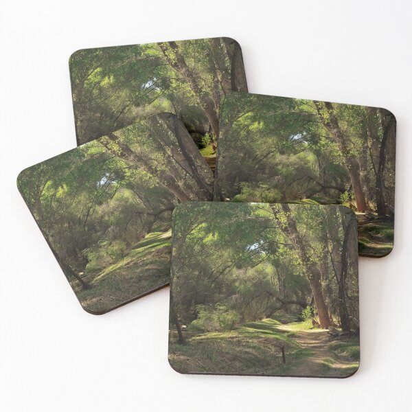 Item preview, A stunning view of a forest captured on a sunny day. designed and sold by ptosis.