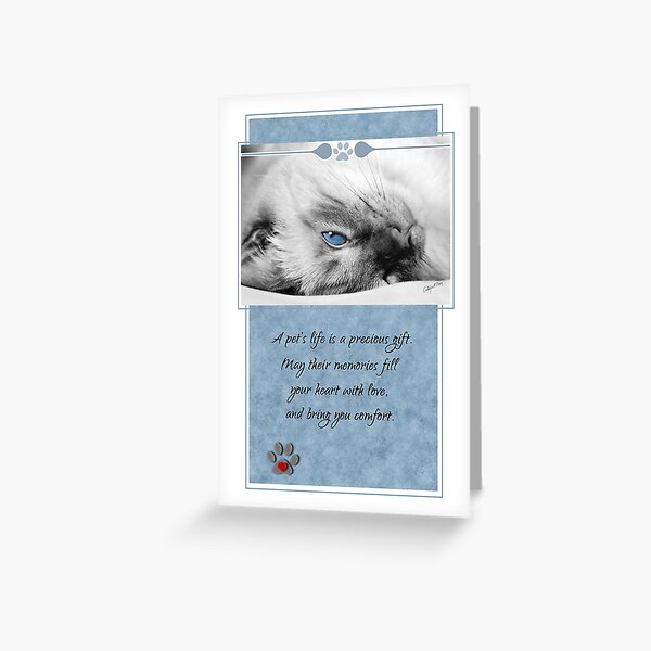 Loss of a Cat Pet Sympathy Siamese Blue and White Sentimental Greeting Card
