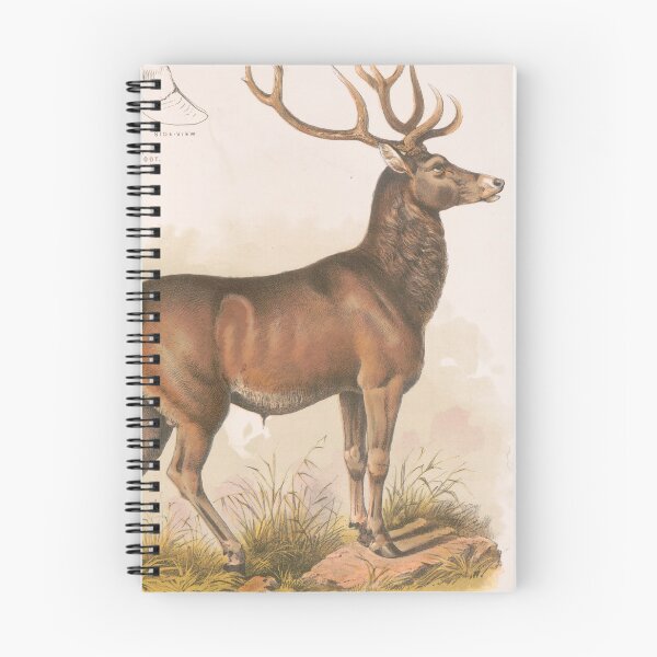 Item preview, Vintage Illustration of a Round Horned Elk (1872) designed and sold by BravuraMedia.
