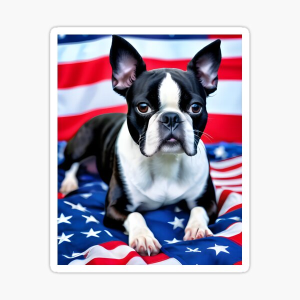 Aperçu de l'œuvre Boston Terrier avec drapeau créée et vendue par Hall-O-Gram.