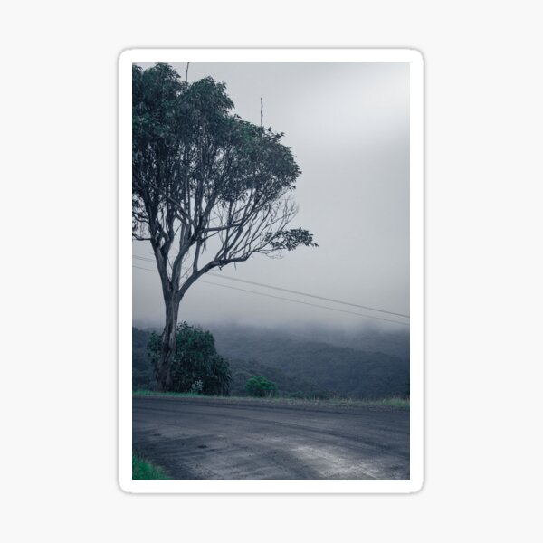 Item preview, Mysterious fog path: Mystical eucalyptus tree at a foggy intersection - high-quality photo print for collectors Australia designed and sold by TRex-Landscapes.