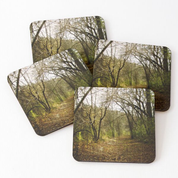 Item preview, Woodsy Path designed and sold by WhitSpace.