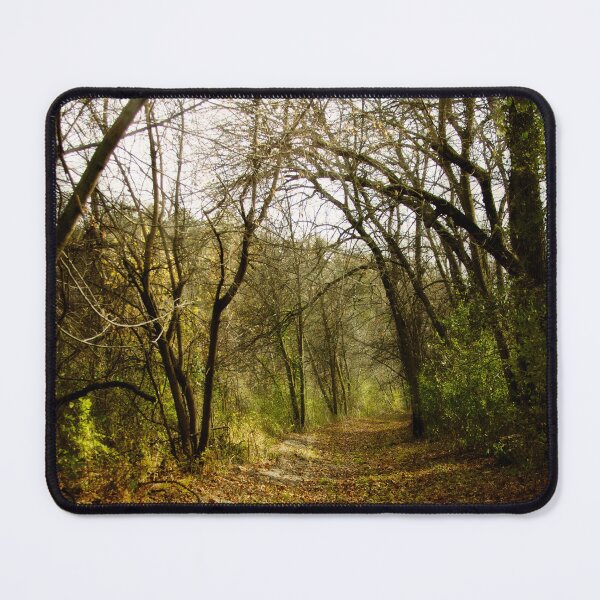 Item preview, Woodsy Path designed and sold by WhitSpace.