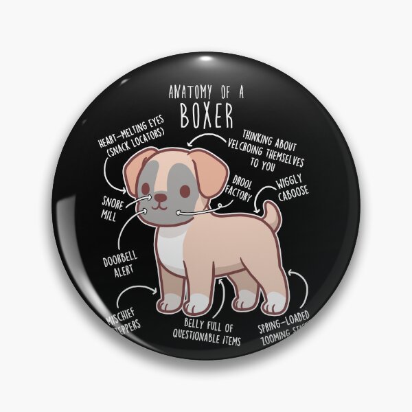 Item preview, Boxer Dog Fawn Anatomy designed and sold by Clara Hollins.