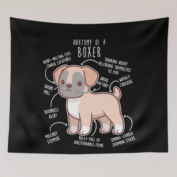 Item preview, Boxer Dog Fawn Anatomy designed and sold by Clara Hollins.