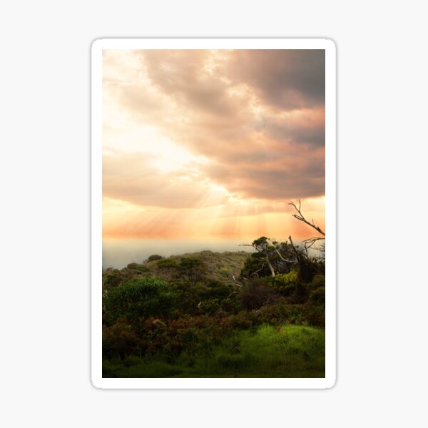 Item preview, Celestial light breaks through clouds over Australian bushland - Artistic photographic print designed and sold by TRex-Landscapes.