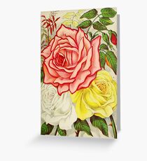 Vintage Multi Colored Rose Illustration (1886) Greeting Card