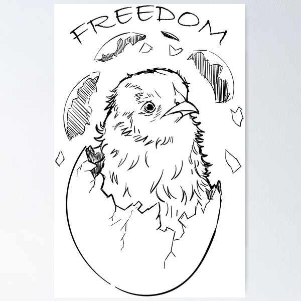 in relation to freedom what do you think does your drawing means?BIRD  INSIDE THE CAGE#help​ - Brainly.ph