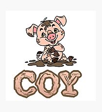 Coy Piggy Photographic Print