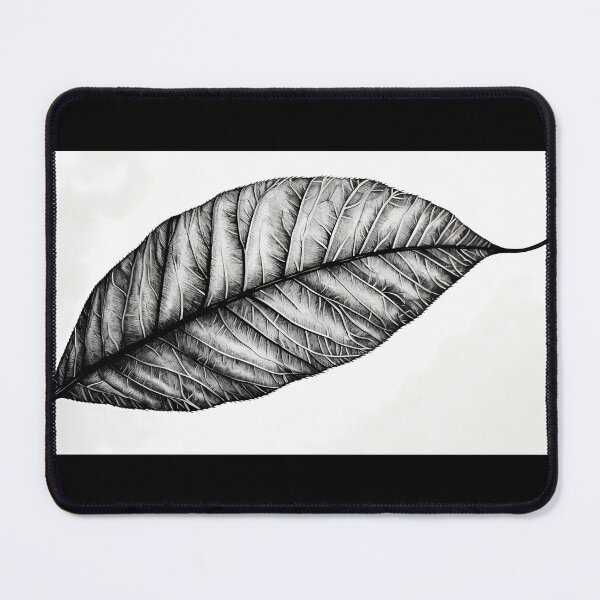 Item preview, Detailed Minimalistic Leaf Sketch designed and sold by codestealth.
