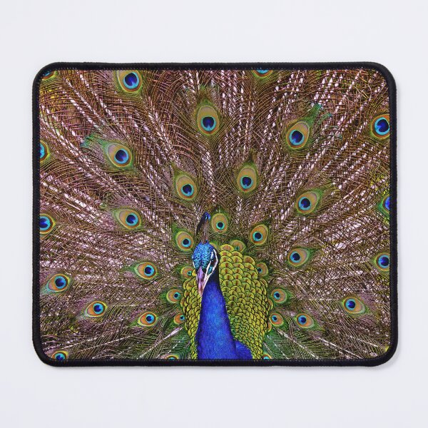 Item preview, Pavo Cristatus designed and sold by Alex Preiss.