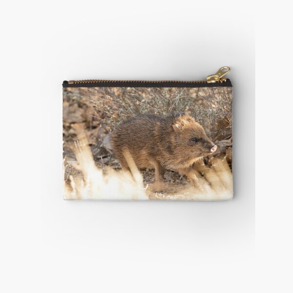 Item preview, Little Javelina designed and sold by DWMMPhotography.