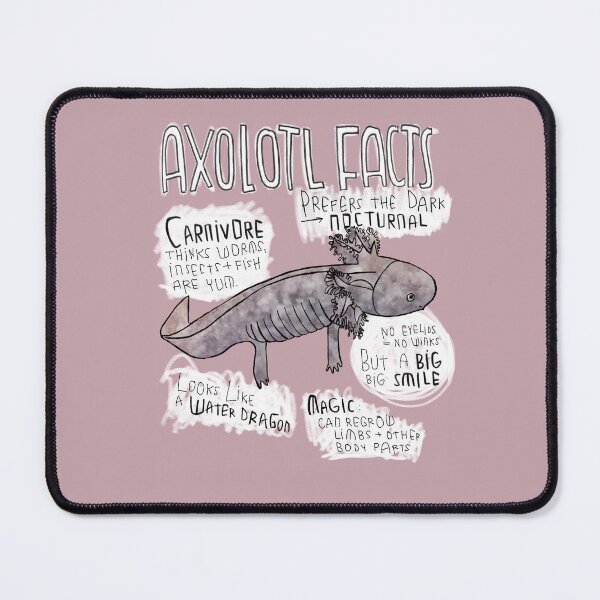 Item preview, Axolotl Facts designed and sold by badlydrawnbabe.