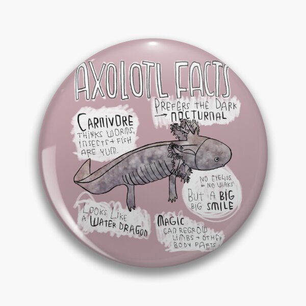 Artikelvorschau, Axolotl Facts, Axolotl Steckbrief entworfen und verkauft von badlydrawnbabe.