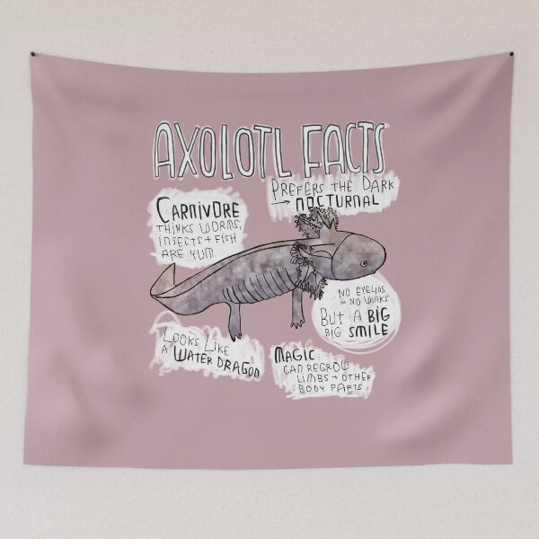 Item preview, Axolotl Facts designed and sold by badlydrawnbabe.