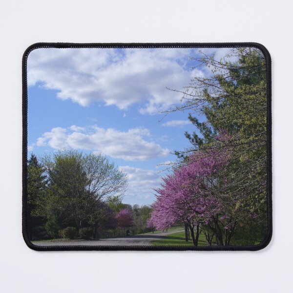 Item preview, Spring Garden Path designed and sold by Paula Betz.