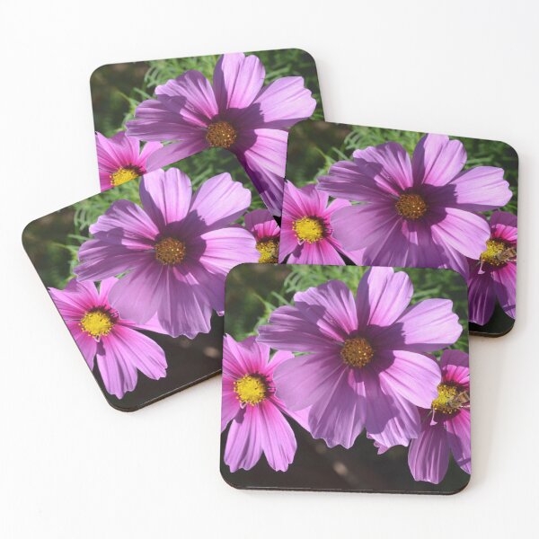 Item preview, Bee on Trio of Cosmos Flowers designed and sold by Paula Betz.