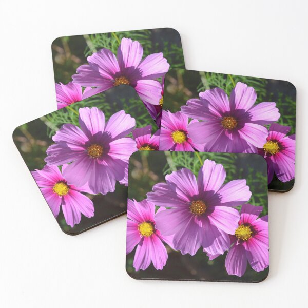 Item preview, A Trio of Cosmos Flowers designed and sold by Paula Betz.
