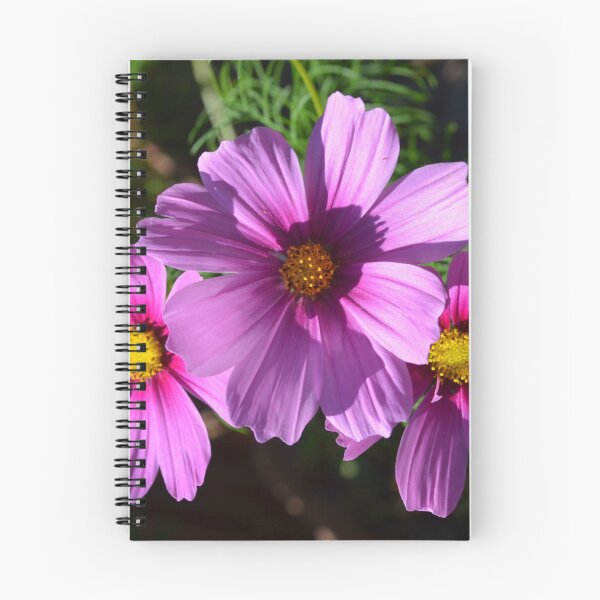 Item preview, A Trio of Cosmos Flowers designed and sold by Paula Betz.