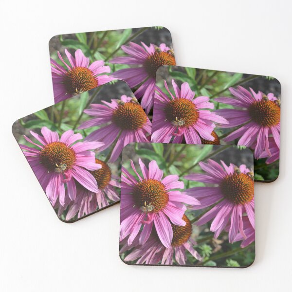 Item preview, Purple Coneflowers with Honey Bee Visitors designed and sold by Paula Betz.