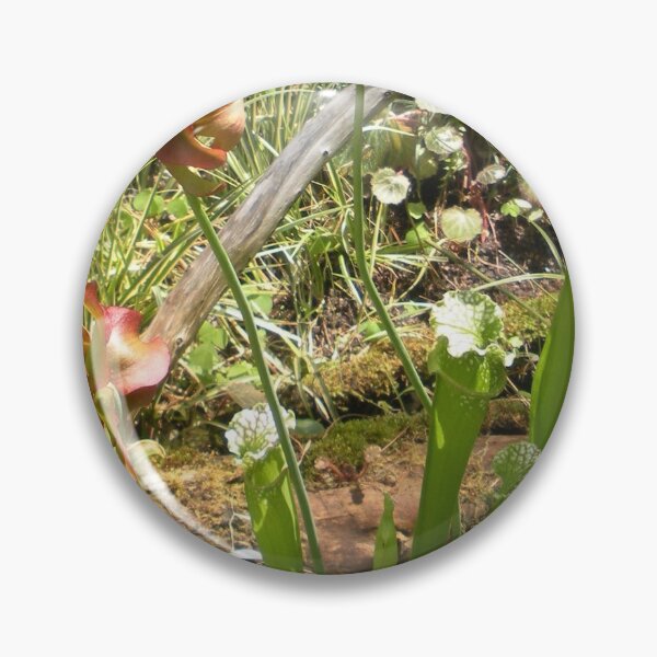 Item preview, Carnivorous plant and flowers designed and sold by Paula Betz.