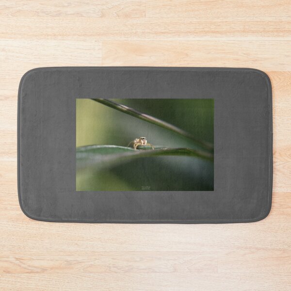 Item preview, Jumping Spider on a Leaf designed and sold by RanranBugs.