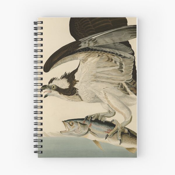 Item preview, Vintage Osprey Catching a Fish Illustration (1838) designed and sold by BravuraMedia.
