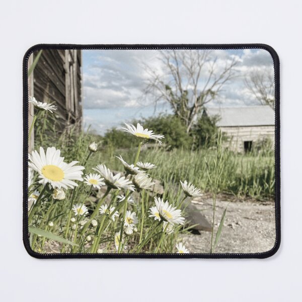 Item preview, Barn Daisies designed and sold by TammyRaybould.