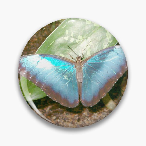 Item preview, Turquoise Butterfly designed and sold by Paula Betz.