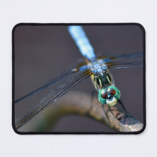 Item preview, Blue and Green Dragonfly designed and sold by Paula Betz.