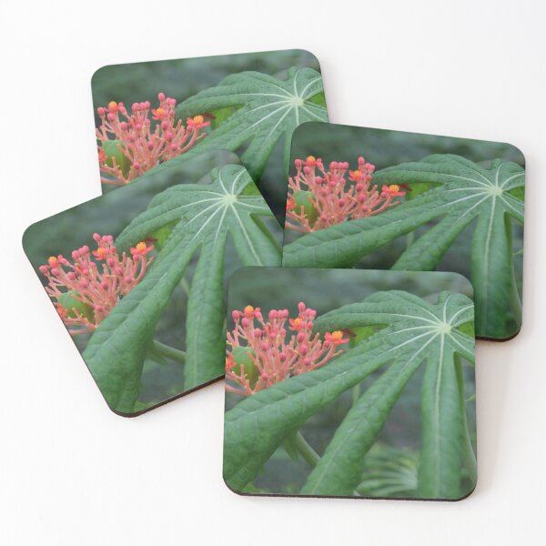 Item preview, Big Leaf, Little Flowers designed and sold by Paula Betz.