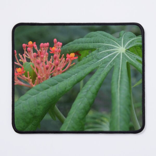 Item preview, Big Leaf, Little Flowers designed and sold by Paula Betz.