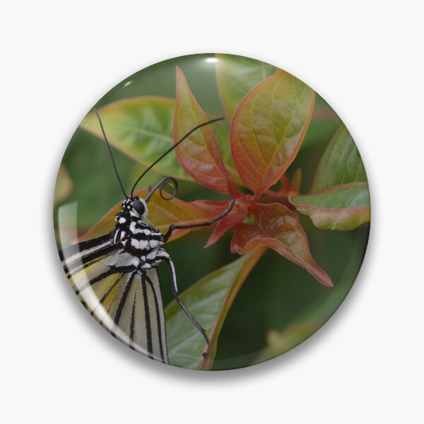 Item preview, Paper Kite Butterfly Resting on Leaves designed and sold by Paula Betz.