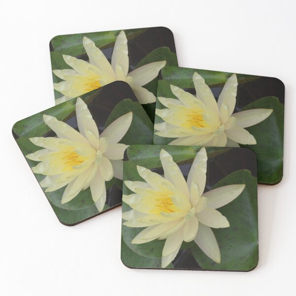 Item preview, Light Yellow Water Lily designed and sold by Paula Betz.