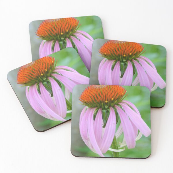 Item preview, Purple Echinacea Flower designed and sold by Paula Betz.