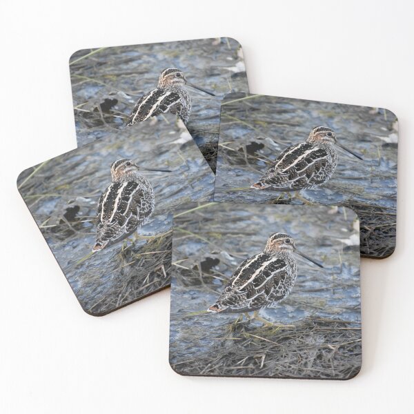 Item preview, Wilson's snipe  designed and sold by Tonia Delozier's Photography .