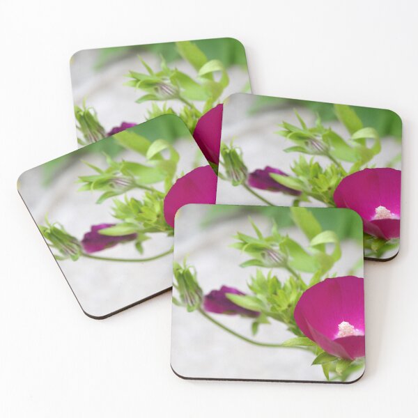 Item preview, Rose Mallow Flower designed and sold by Paula Betz.