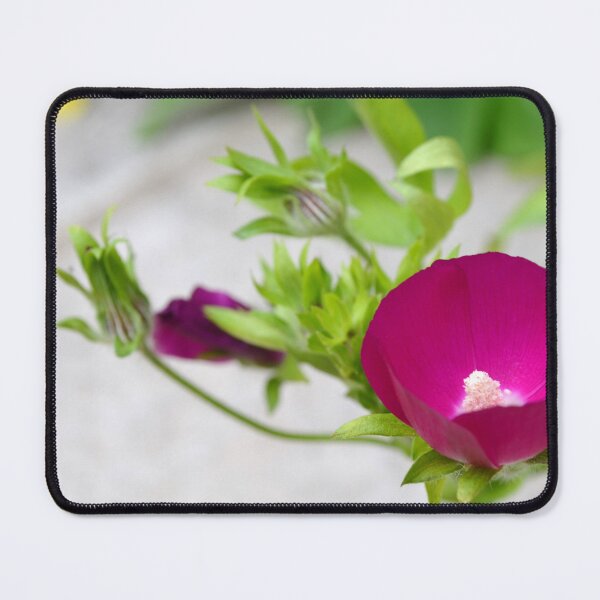 Item preview, Rose Mallow Flower designed and sold by Paula Betz.