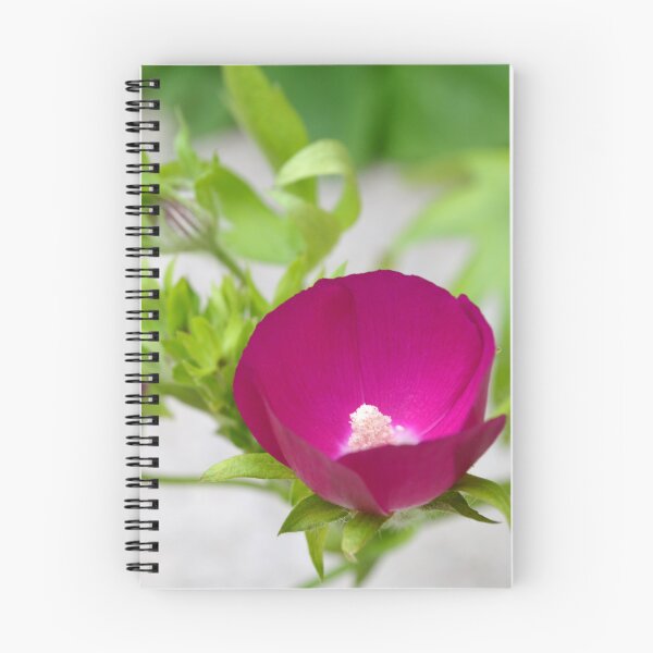Item preview, Rose Mallow Flower designed and sold by Paula Betz.