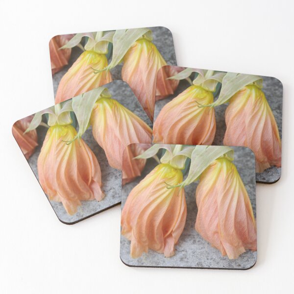 Item preview, Missouri Primrose Flowers designed and sold by Paula Betz.
