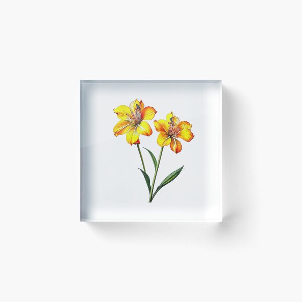 Item preview, Alstroemeria, Lily of the Incas designed and sold by nicheteees.