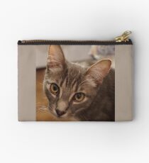Ozzy le chaton Pochette