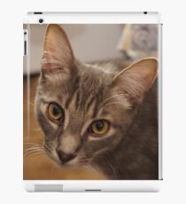 Ozzy le chaton Coque et skin iPad