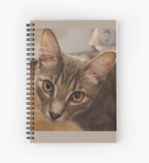 Ozzy le chaton Cahier à spirale